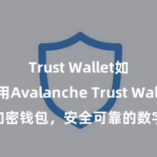 Trust Wallet如何使用Avalanche Trust Wallet加密钱包，安全可靠的数字钞票解决器用